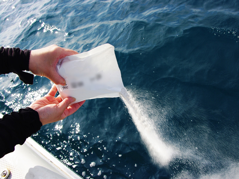 御前崎出発・駿河湾沖散骨フォトライブラリー 海洋自然葬の風（6月）｜散骨・海洋葬ネット