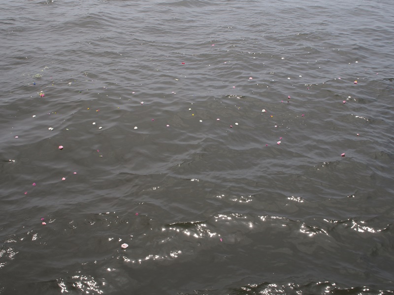 20.手向けた花びらが広がっていきます