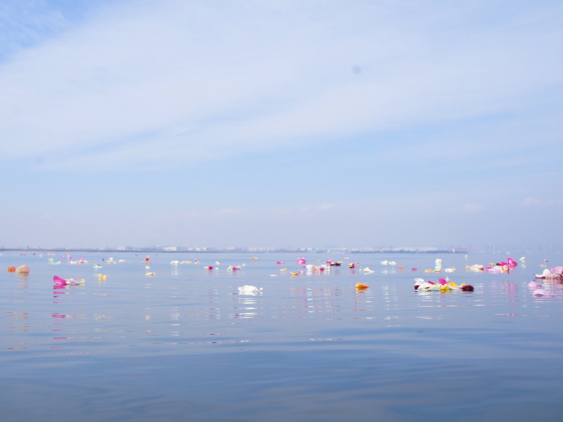 5.花びらを映す東京湾