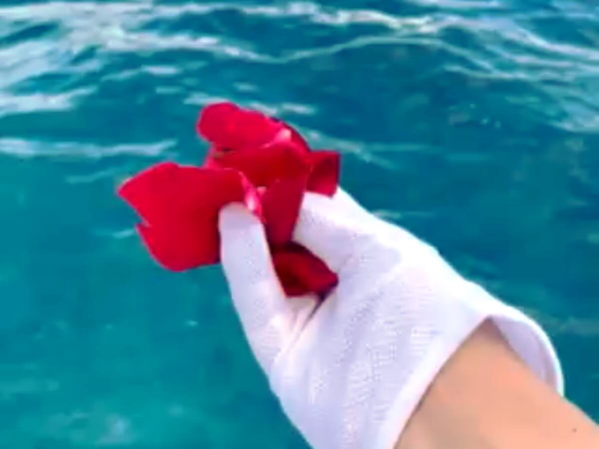 5.赤いバラを献花