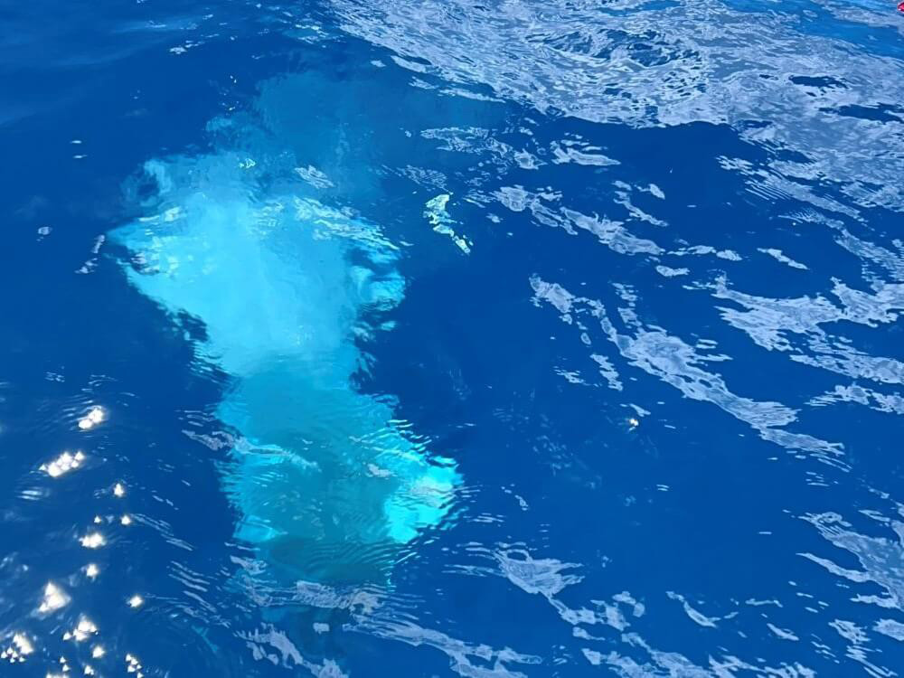 4.波間に身を委ねているようでした