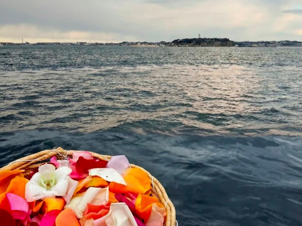 5.道標となる鮮やかな花びら