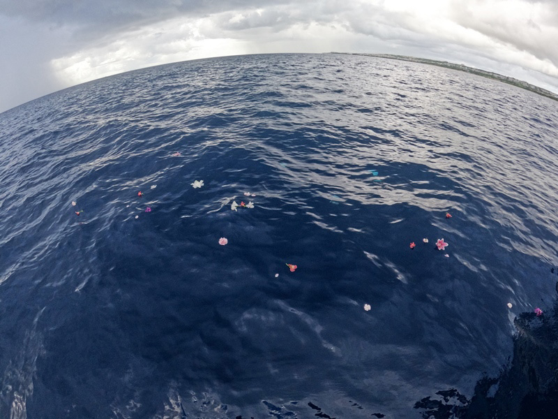 6.思い出と共に故人様をお見送り