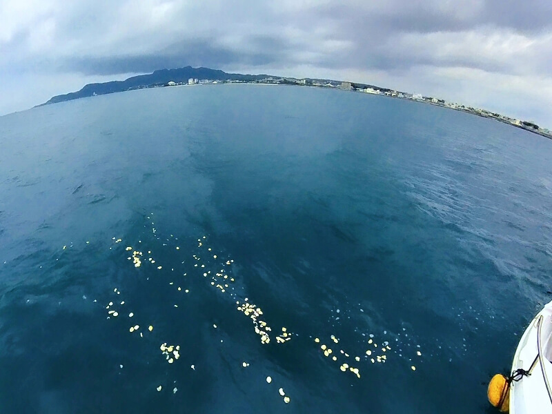 9.永遠の旅立ちを見送ります