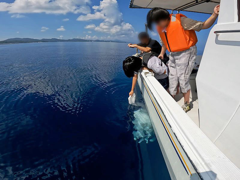 4.故人を海へ送ります