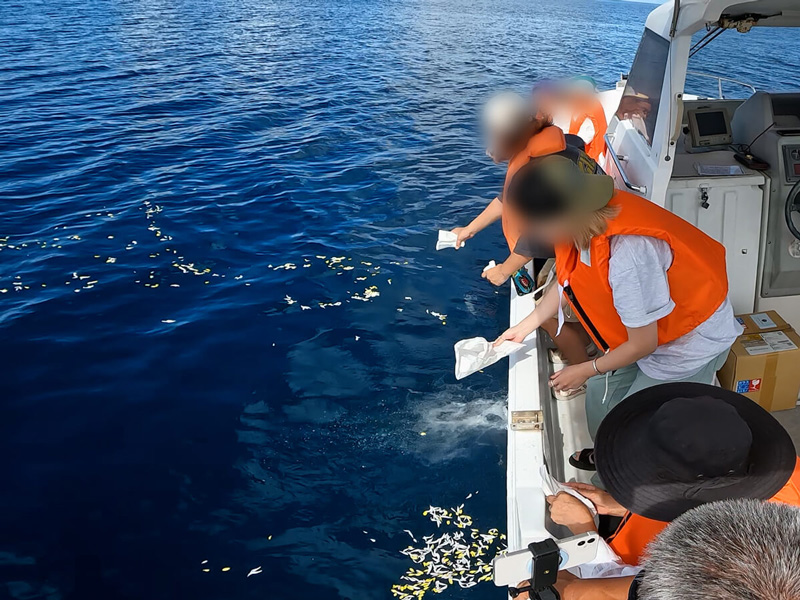 2.水溶性の袋から散骨