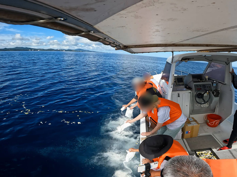 3.ゆっくりと海へ