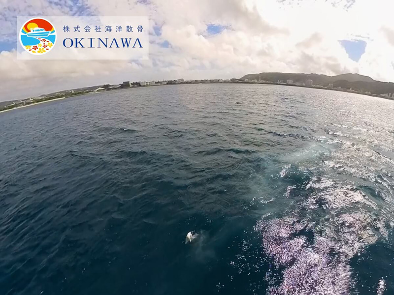 6.深く蒼い名護湾