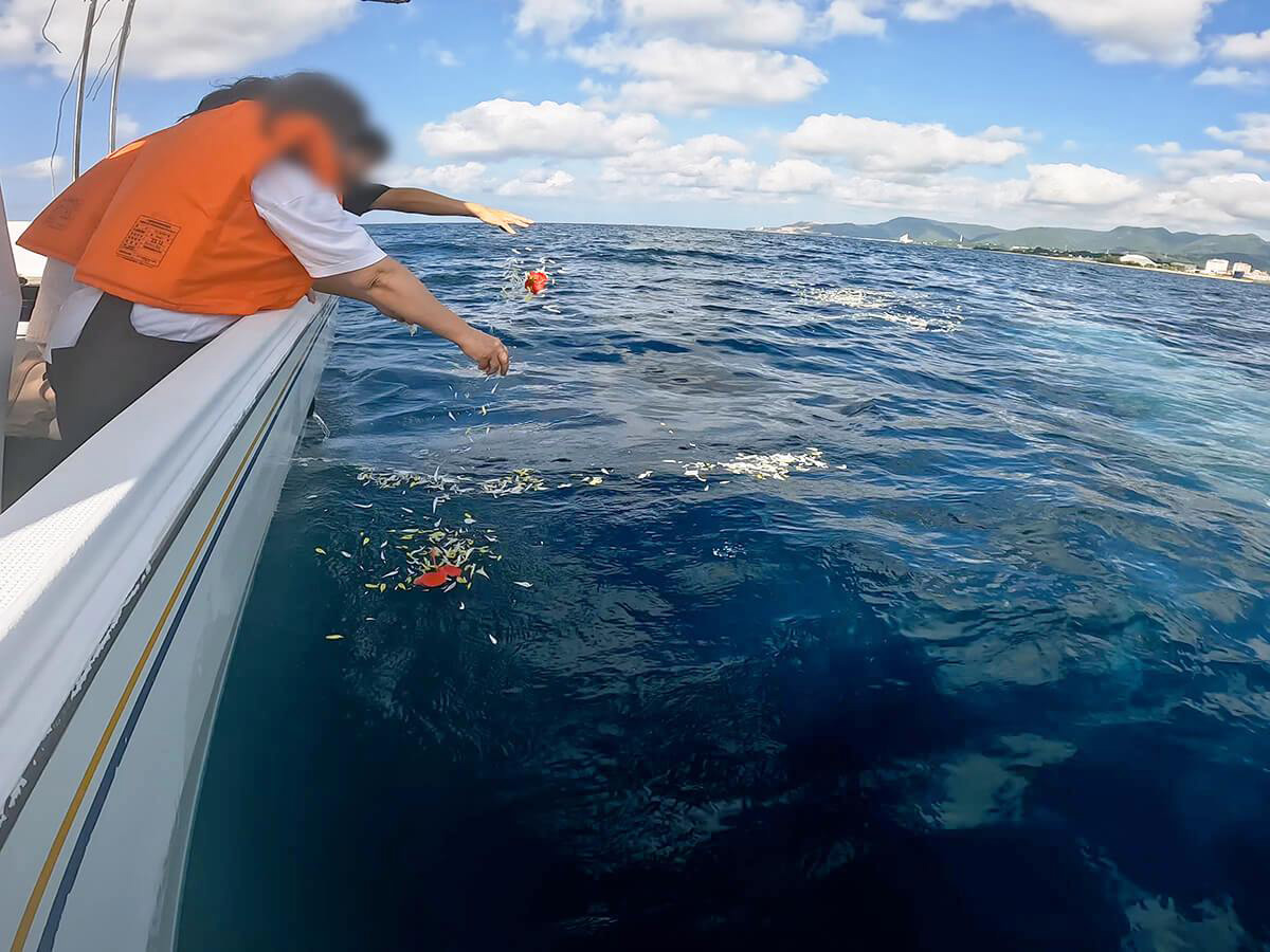 6.ふたたび献花