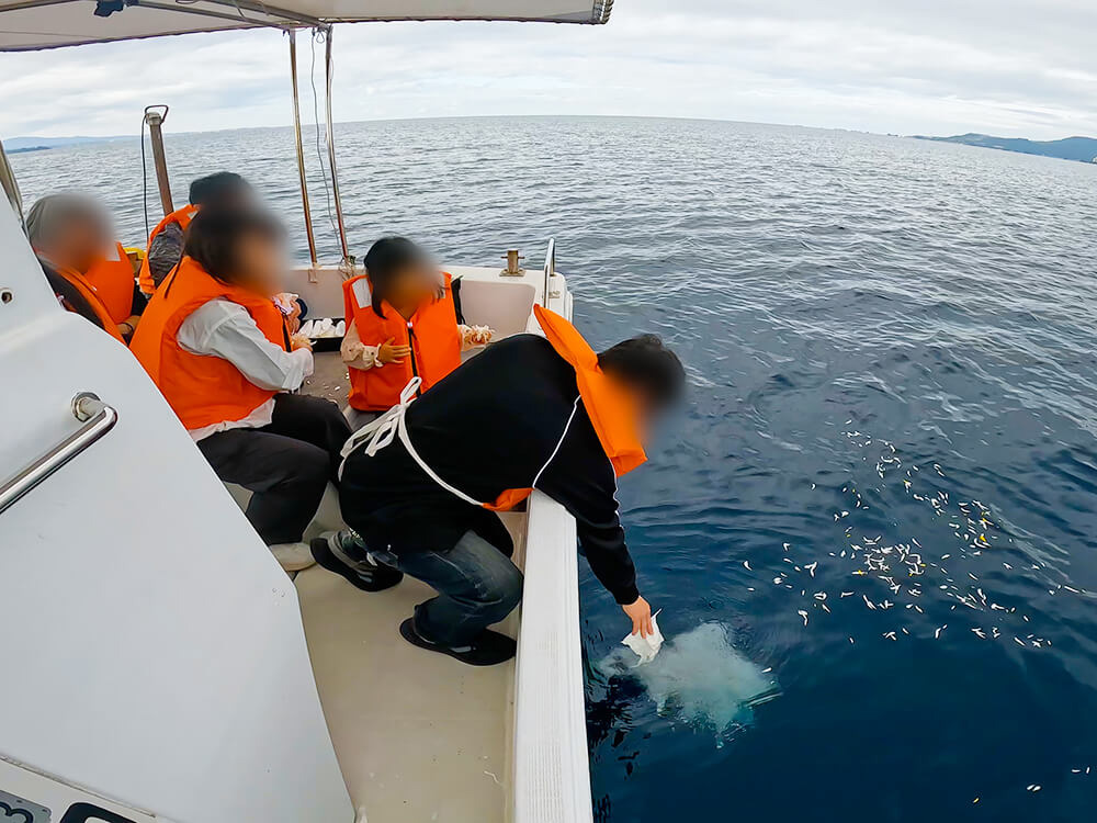 1.花びらとともに海へ