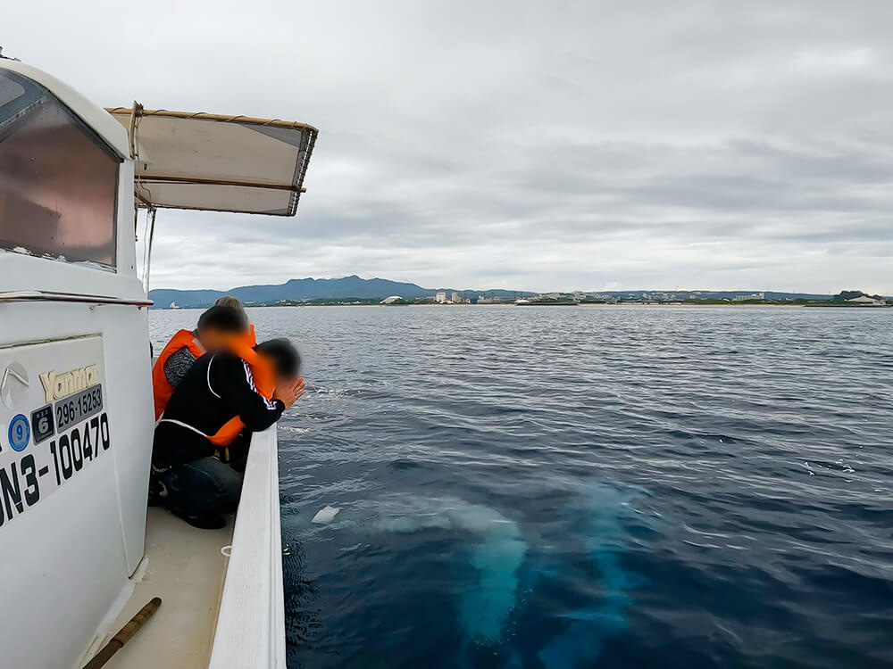 4.手を合わせます
