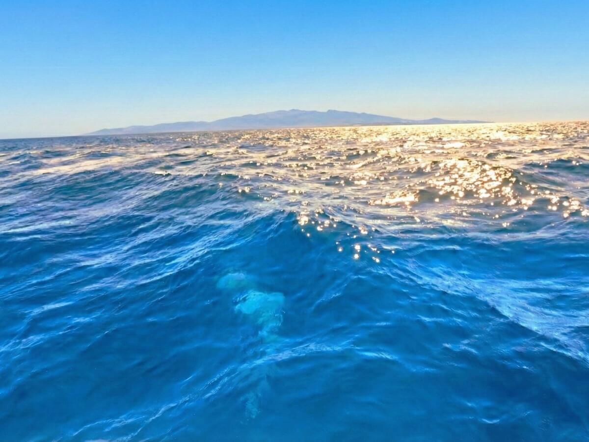 6.八重山諸島を望んで