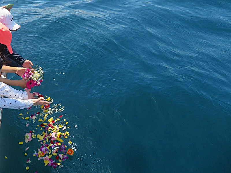 3.散骨、献花、献酒