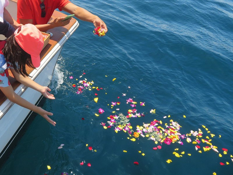 4.故人様のお孫様も心を込めて