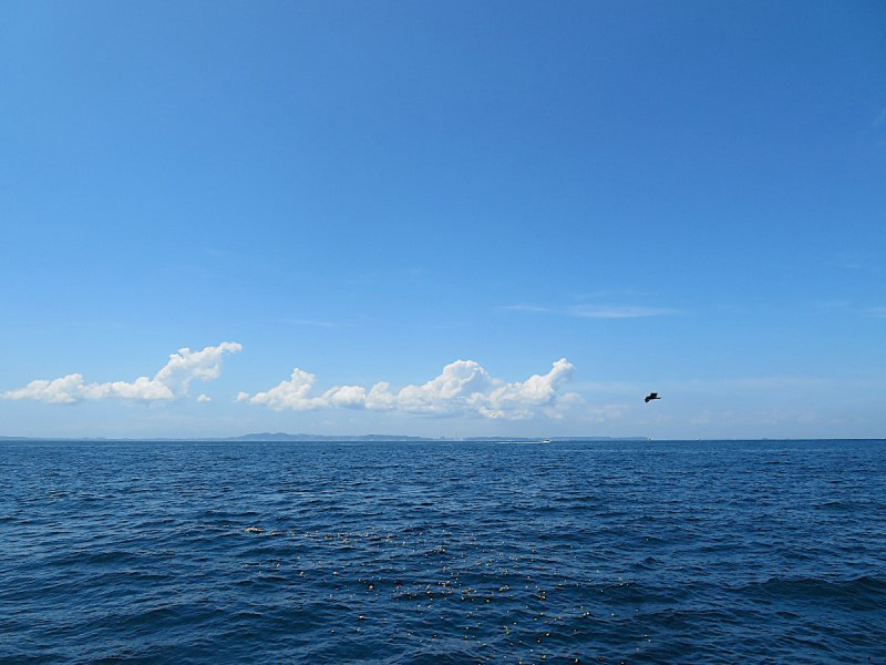 6.房総半島と三浦半島の間