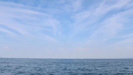 南知多出発・三河湾沖散骨