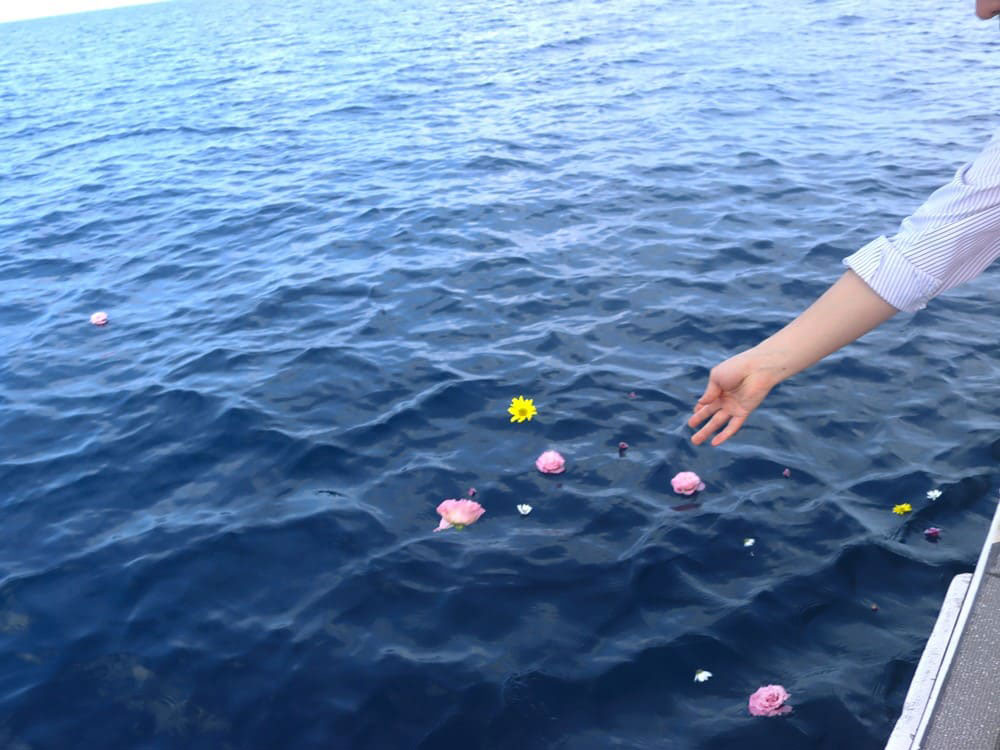 8.色とりどりのお花も