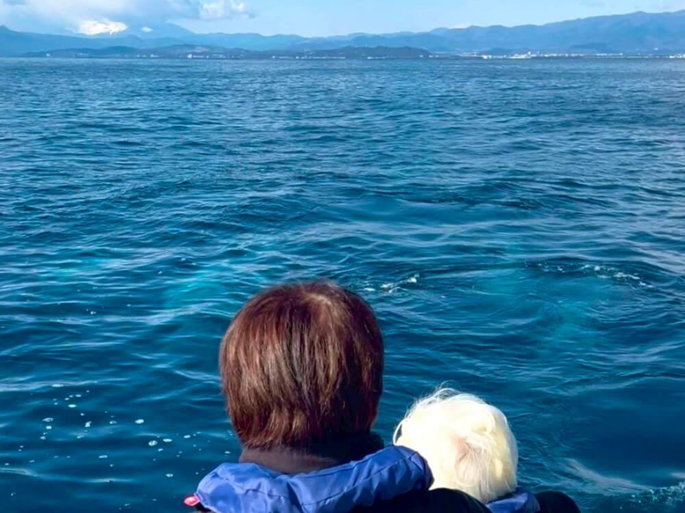 4.青き平穏の中、新たな旅立ち