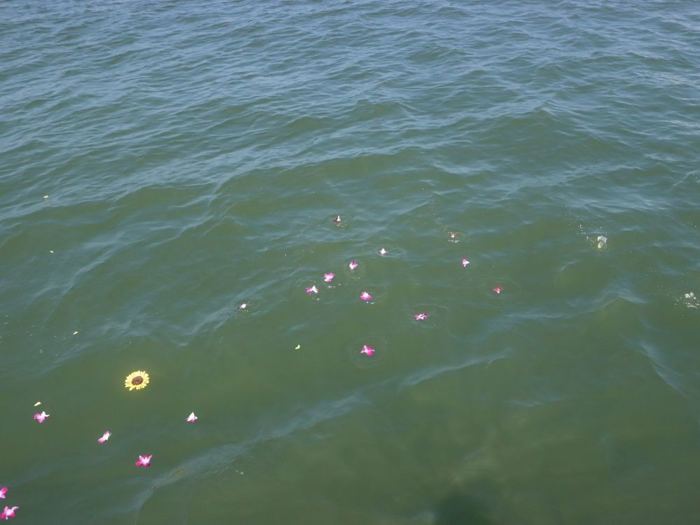 5.彩られる海面