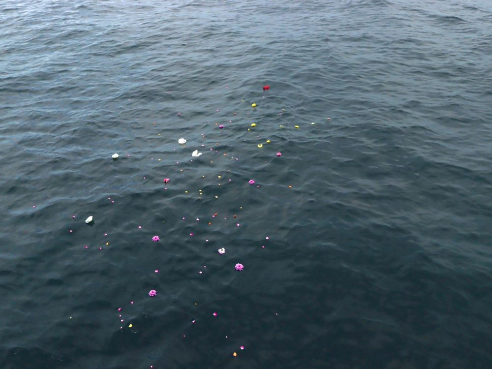 5.瀬戸内海に広がる花びら