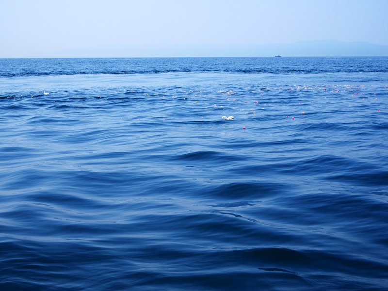 11.雄大な姿を見せる和歌浦沖