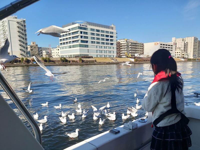 7.大人気！カモメに餌やり