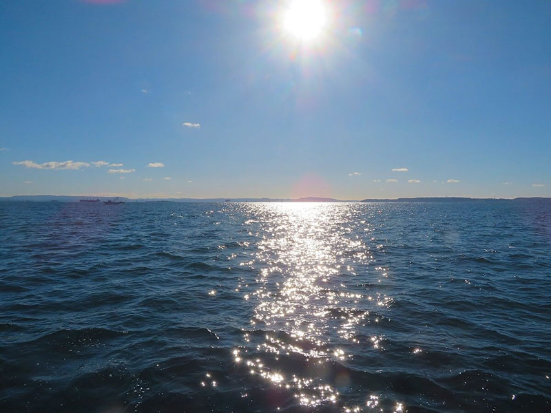 4.対岸には房総半島